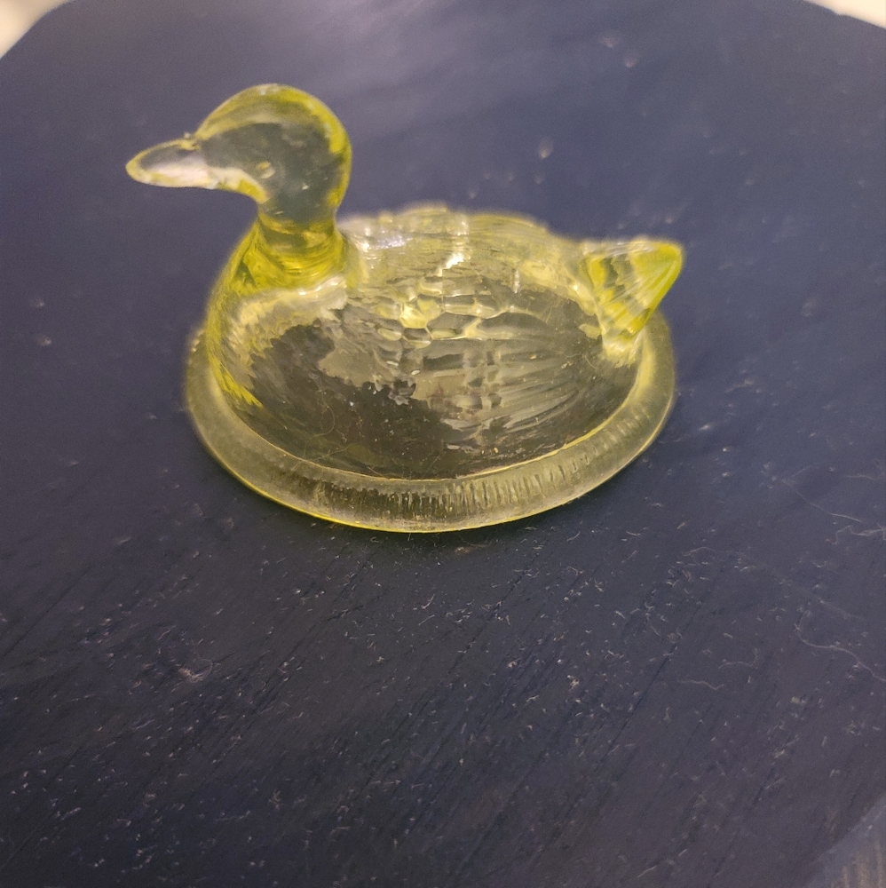 Boyd Nesting Duck
